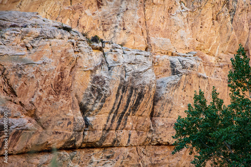 Hog Canyon trail in Dinosaur National Monument affords an up-close-and-personal view of the craggy Weber Sandstone that make up the canyon s walls