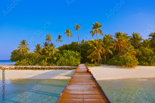 Tropical Maldives island © Nikolai Sorokin