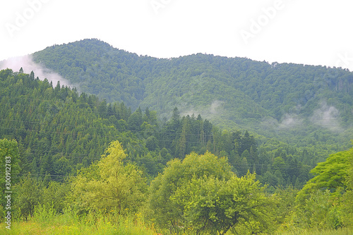 Beautiful mountain landscape in Ukraine © issalina