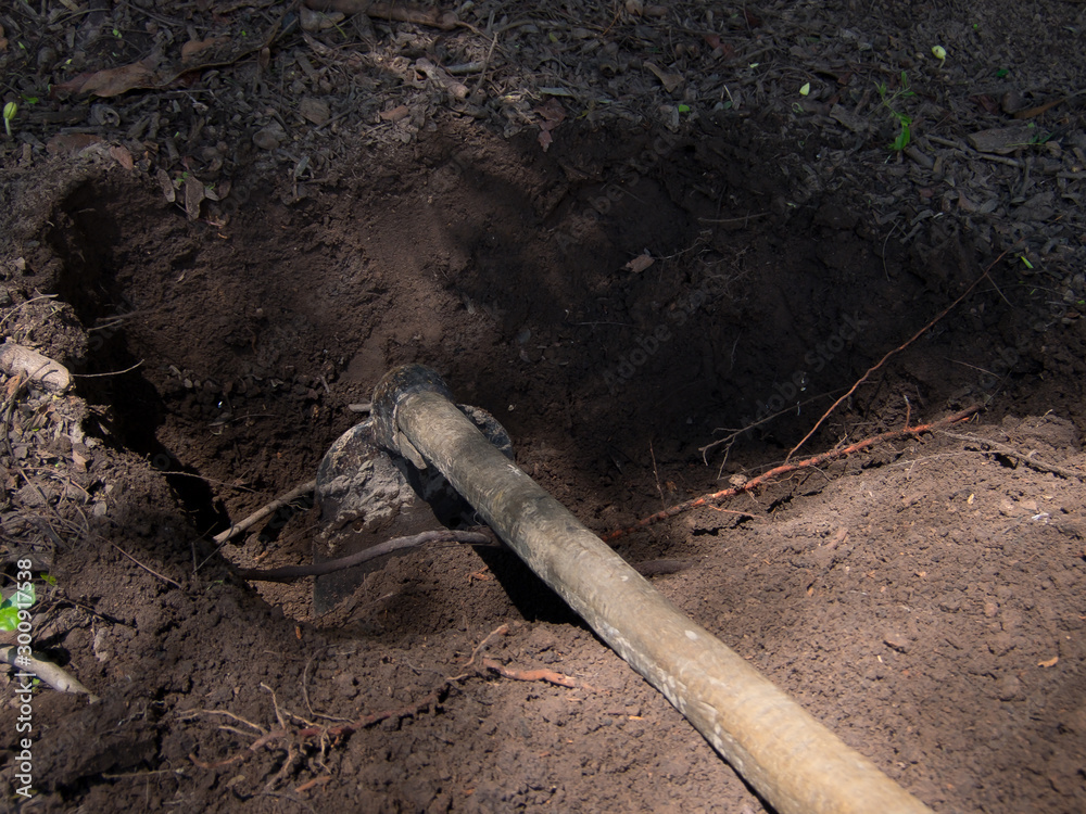 Fototapeta premium Digging the hole for tree