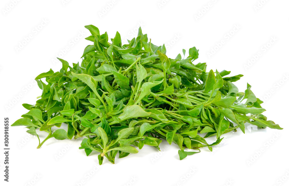 Fresh watercress isolated on white background Fresh watercress isolated on white background