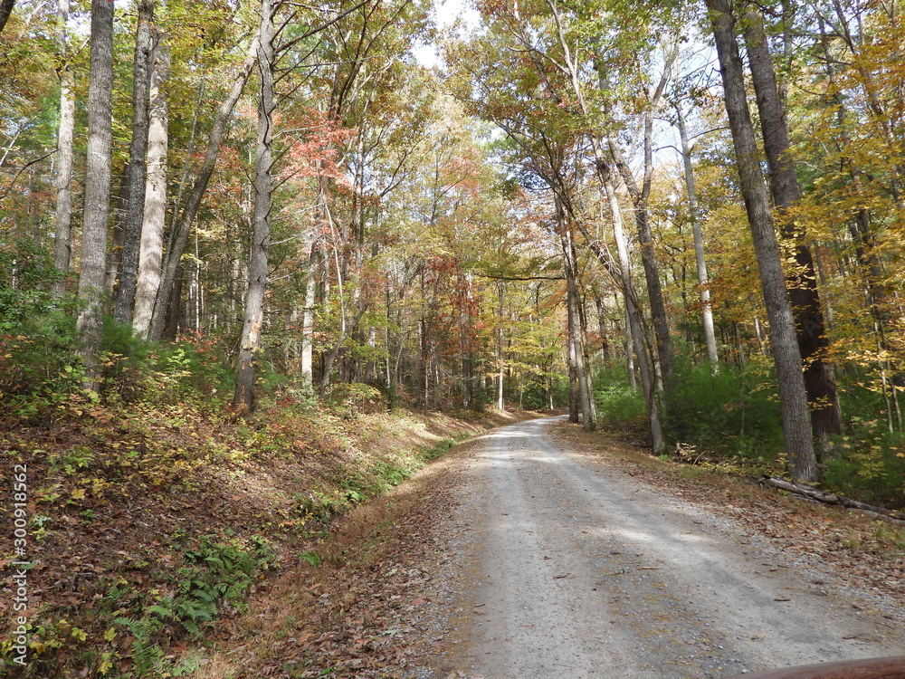 Fototapeta premium cades Cove, SMNP