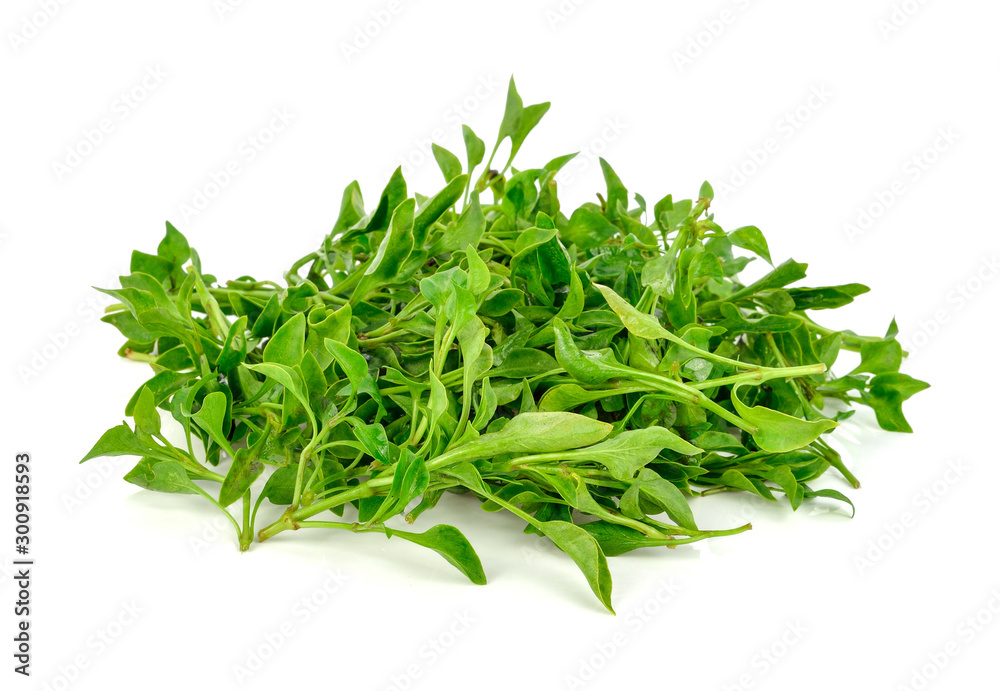 Fresh watercress isolated on white background