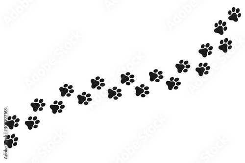 Footpath trail of animal. Dog or cat paws print vector isolated on white background. Trail footpath wildlife, footprint silhouette illustration