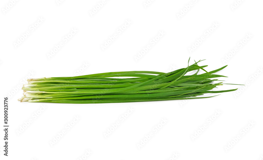 Chinese chives, Garlic chives isolated on white background. Chinese chives, Garlic chives isolated on white background.