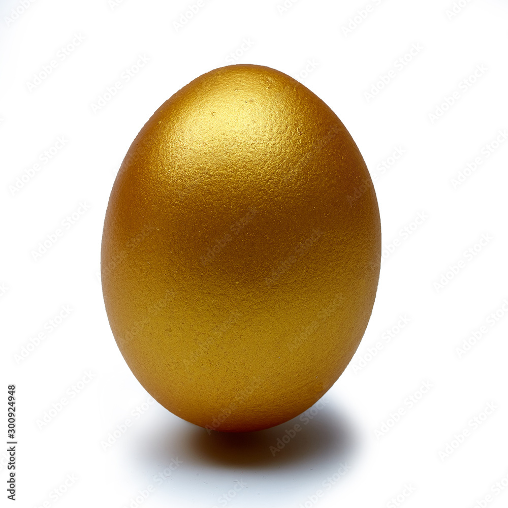 One golden egg isolated on white background. Conceptual image One golden egg isolated on white background. Conceptual image