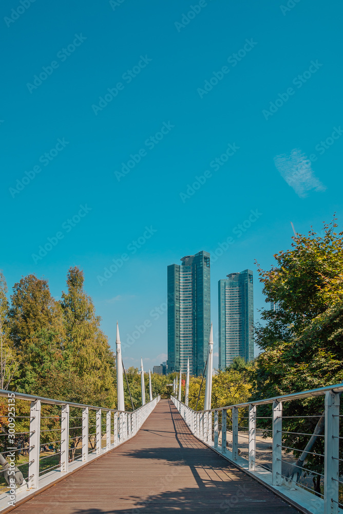 Sky scrappers above the end of the board walk bridge in park at autumn in Seoul, Korea