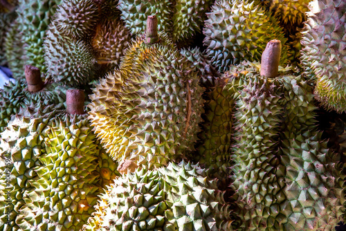 Group of fresh durians fruit prepare for sell in the durian market.