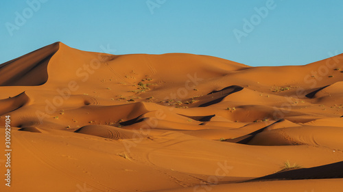 Sahara Desert during sunset  Merzouga  Morocco
