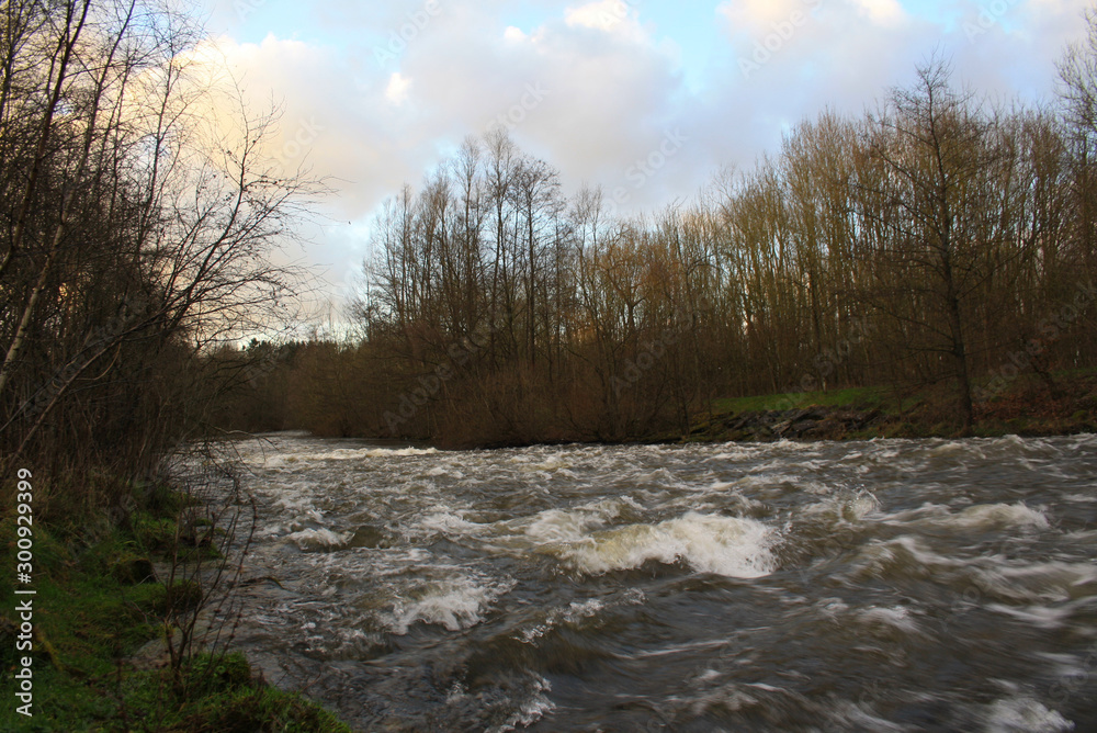 River in winter River in winter