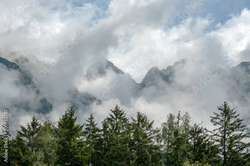 gray mountain in pine forest with heavy mist white clouds