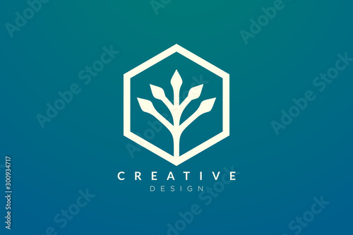 The concept of plant design is made into geometric shape in a hexagon with a minimalist and modern style