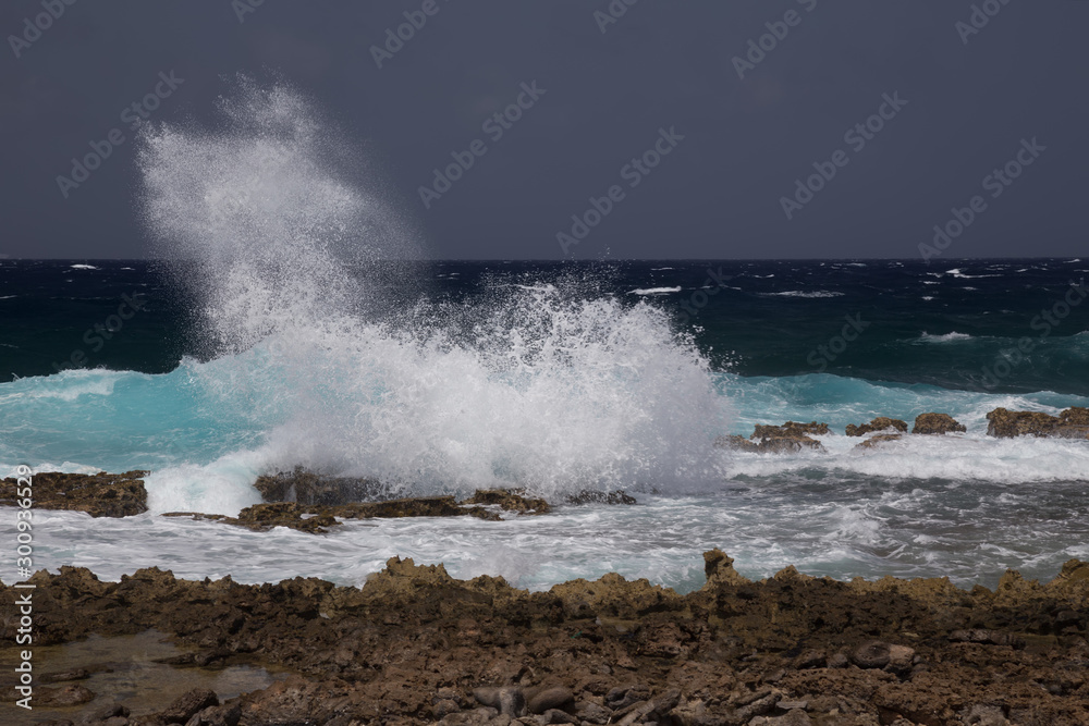 sea beach coast tropical Bonaire island Caribbean sea sea beach coast tropical Bonaire island Caribbean sea