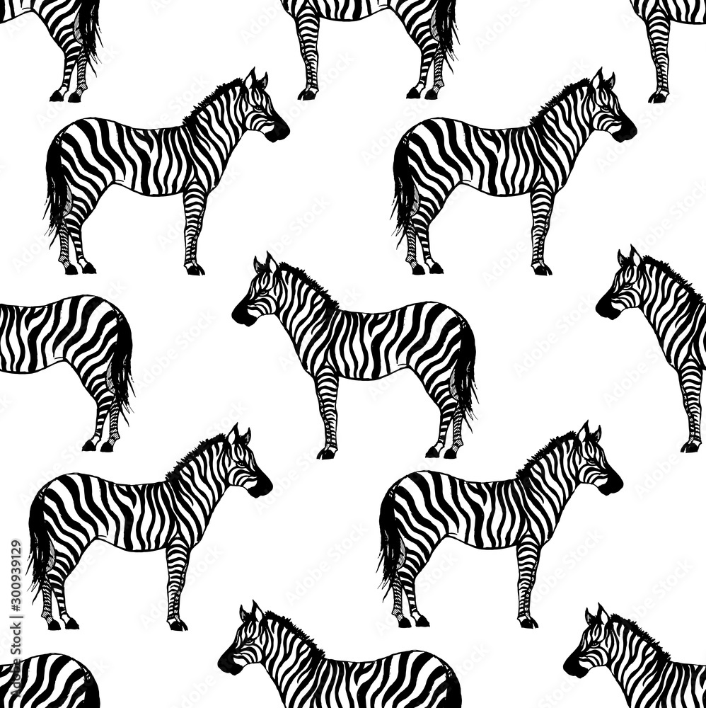 Obraz premium Seamless vector pattern with zebra