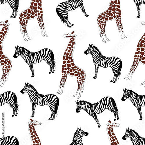 zebra and giraffe pattern vector