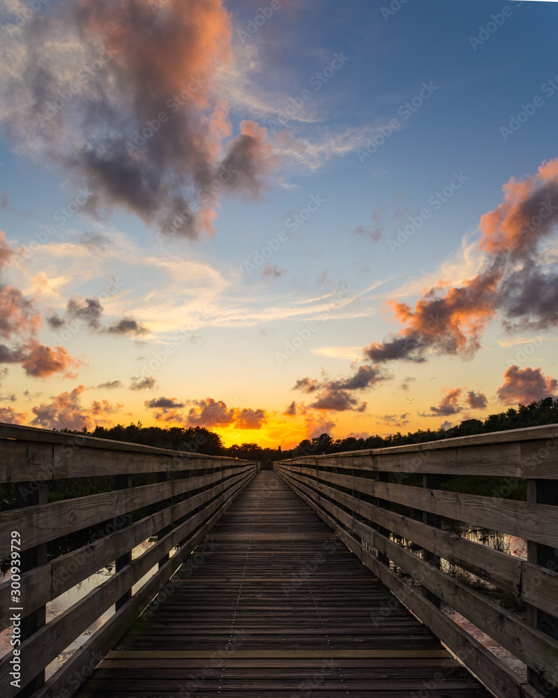 Nature preserve sunset in Florida