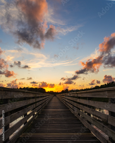 Nature preserve sunset in Florida