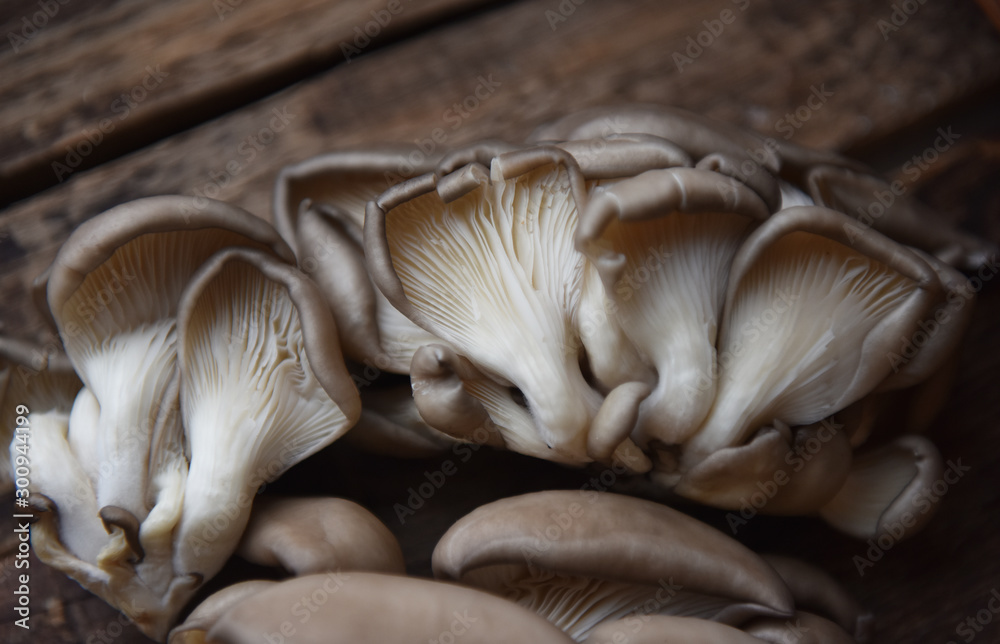oyster mushroom on a wooden table oyster mushroom on a wooden table