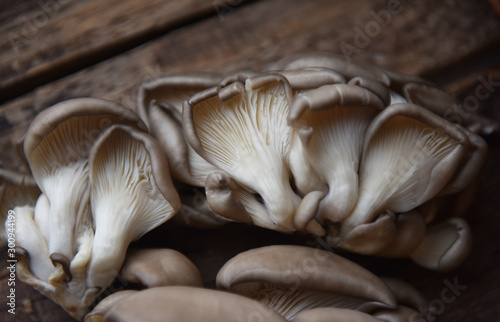 oyster mushroom on a wooden table