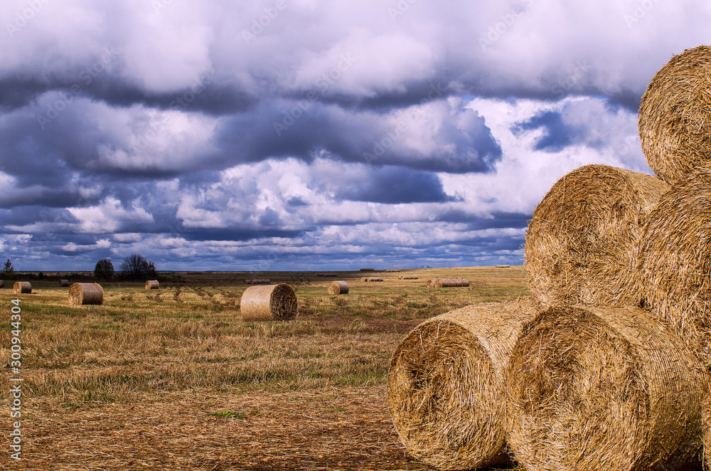 Rolls of harvested hay are on the field, stacked in a pyramid, ready to be sent to the feed warehouse, close-up, toned.
