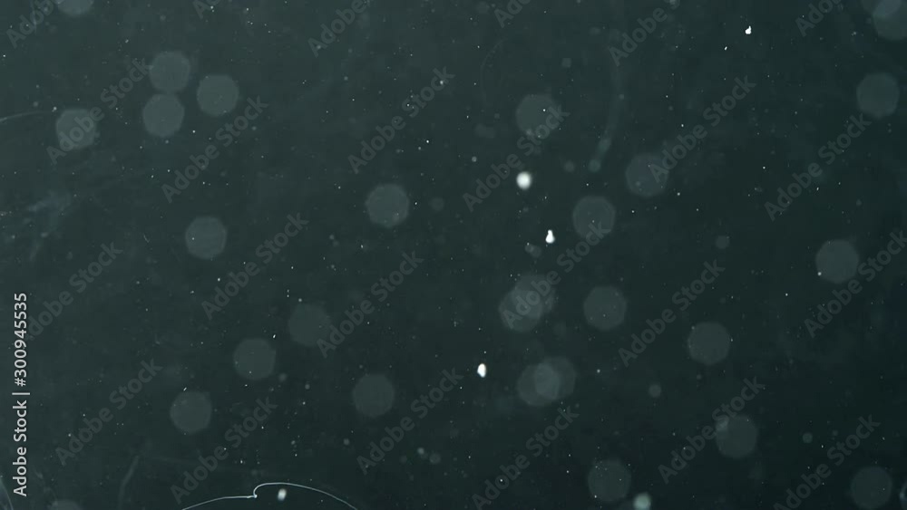 Pill White Dissolve
