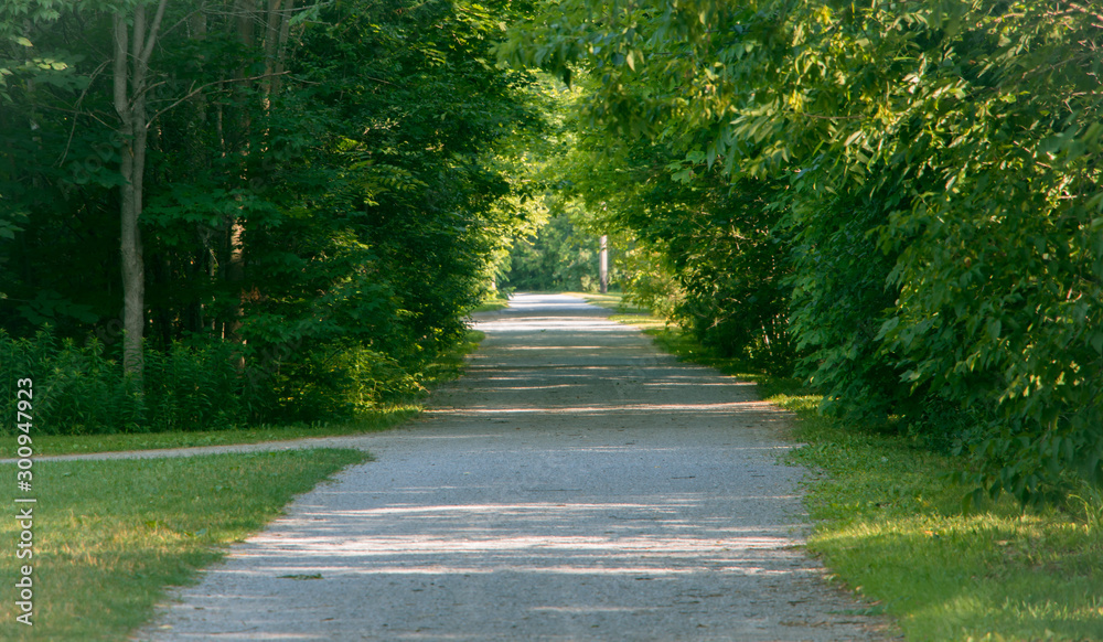 Beautiful green path way in the Jackson park , Peterborough , Ontario , Cananda . 