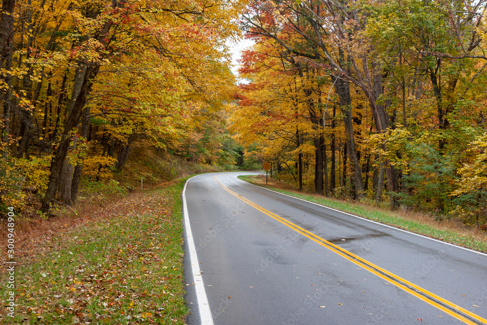 Shenandoah National Park