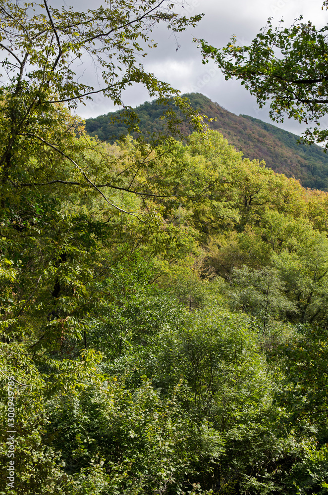 The mountains landscape