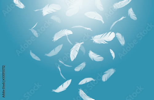 Soft white feathers floating in the air, Feathers abstract background