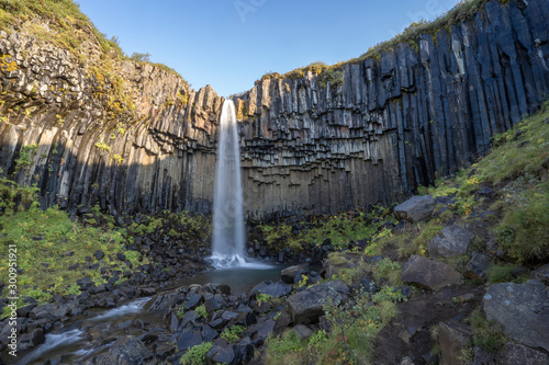 Svartifoss Waterfall in Ice...