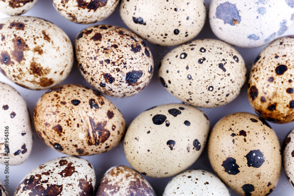 Quail eggs top view isolated on white background cutout Quail eggs top view isolated on white background cutout