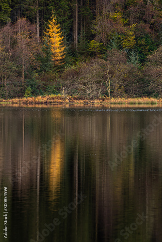 Colorful autumn trees and reflections in Loch Chon in Scottish Highlands