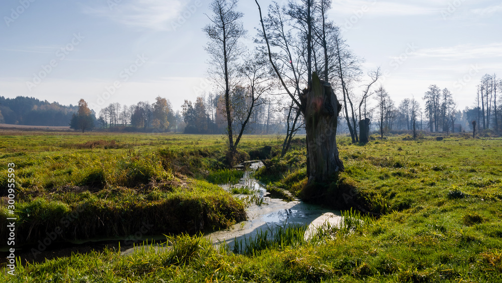 Słoneczny dzień w Dolinie Górnej Narwi, Podlasie, Polska Słoneczny dzień w Dolinie Górnej Narwi, Podlasie, Polska