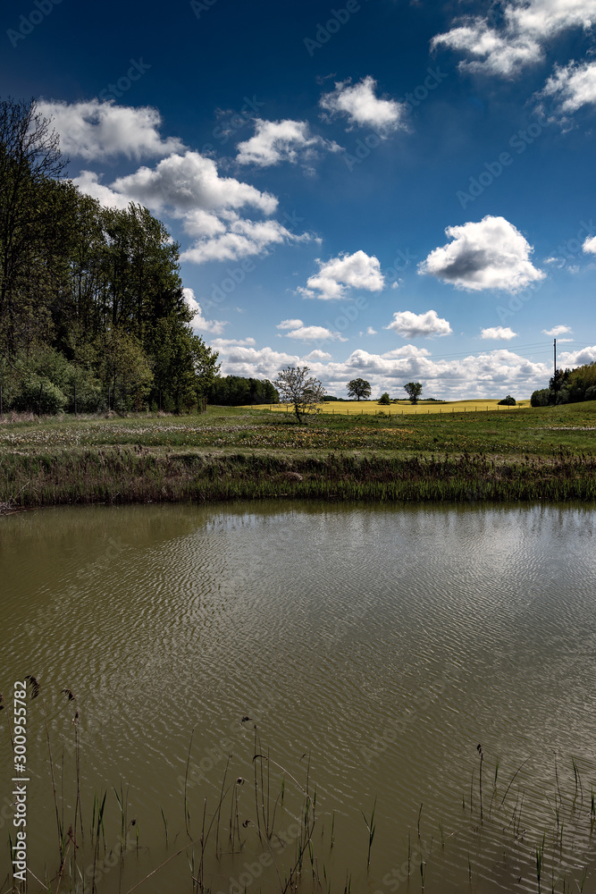 Spring landscape with pond and clouds.