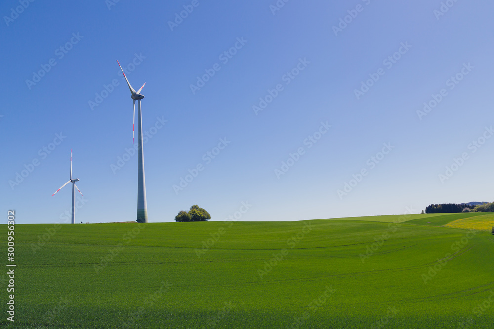 Fototapeta premium wind turbines in green field