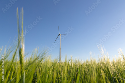 wind turbine on field © Anselm