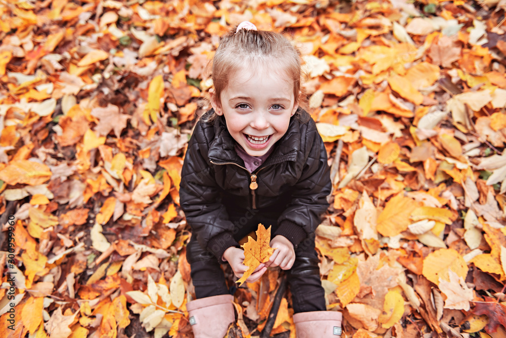 portrait of child in the autumn season outside