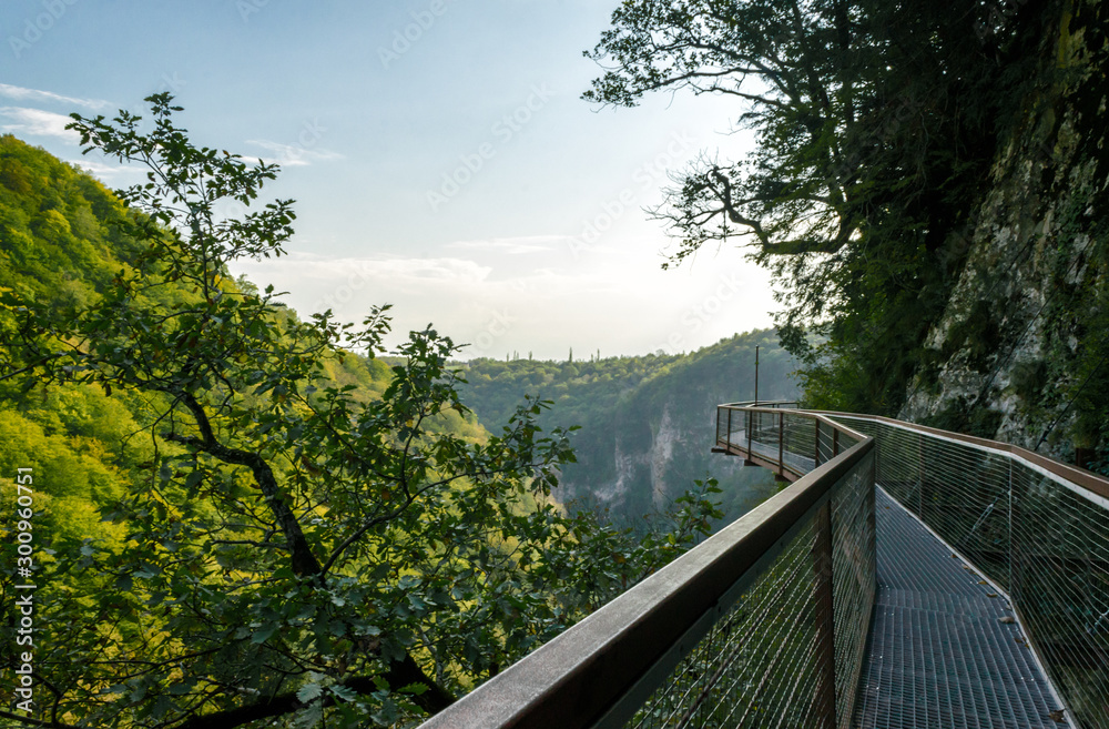 suspension metal bridge in canyon in Georgia among green trees