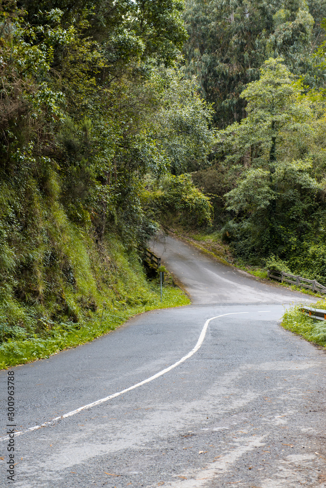 Fototapeta premium road in the mountains