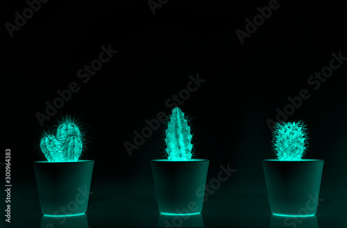 cactus in pot pop art