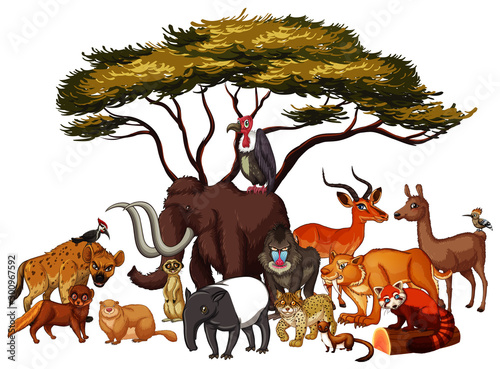 Isolated picture of many animals under the tree