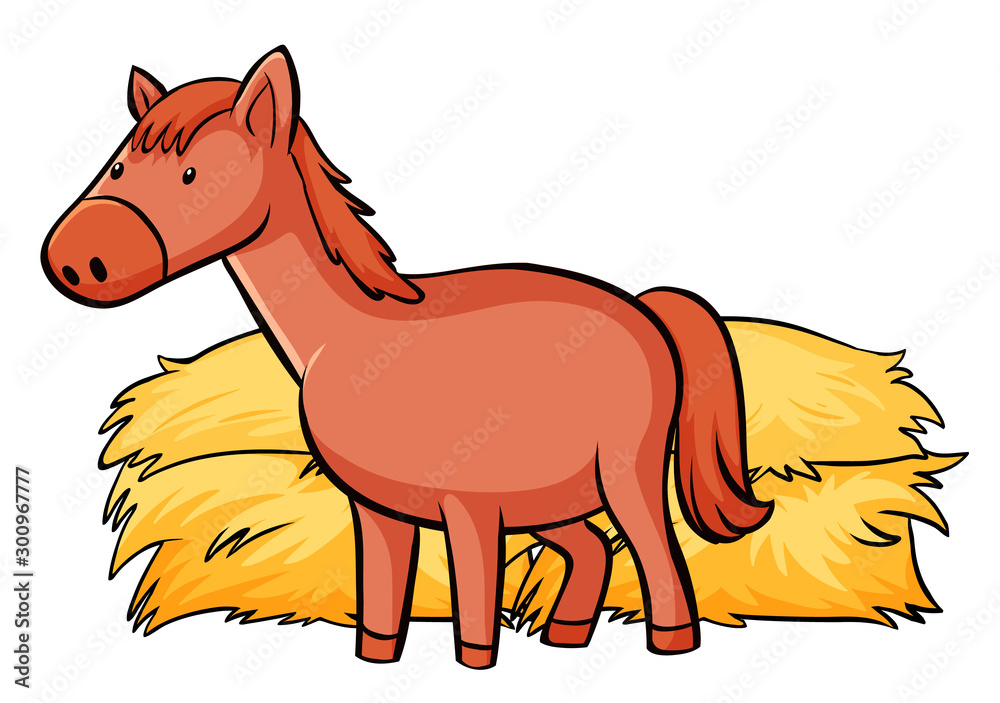 Red horse on white background Red horse on white background