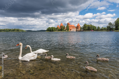 The Trakai Island Castle in Lithuania photo