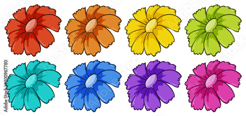 Isolated set of flowers