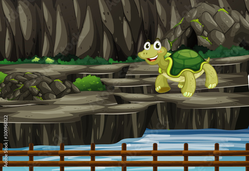 Scene with tortoise at the zoo