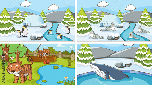 Background scenes of animals in the wild