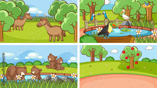 Background scenes of animals in the wild