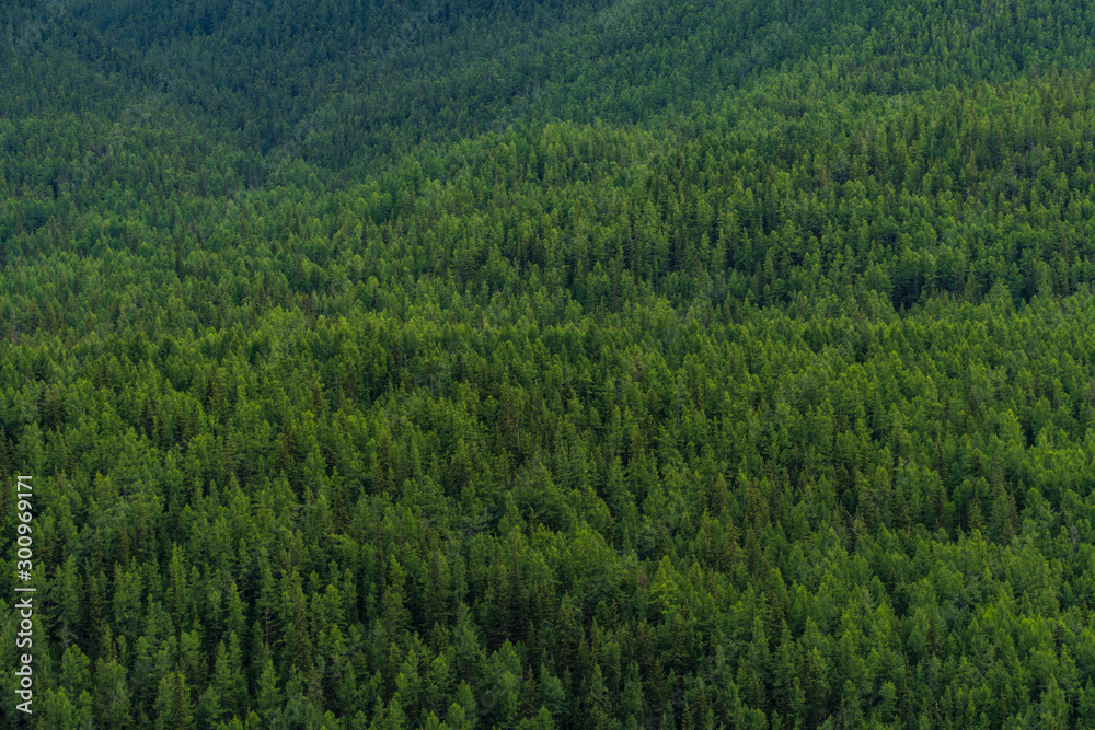 Background image of a mountain landscape. Russia, Siberia, Altai