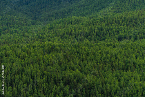 Background image of a mountain landscape. Russia, Siberia, Altai