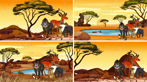 Four scenes with animals in the field